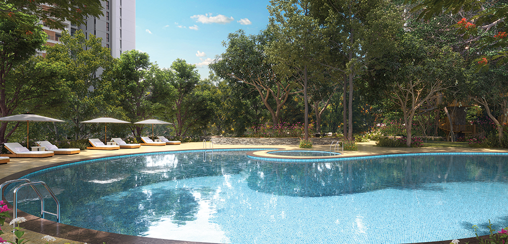 swimming pool